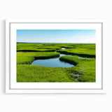 Framed wall art collection featuring a serene marsh and swamp landscape design, with a white mat and frame, perfect for enhancing home décor.
