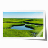 Vibrant marsh landscape wall art featuring a serene swamp scene with lush greenery and reflective water, ideal for enhancing home decor and nature-inspired interiors.