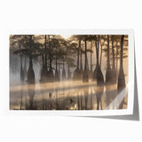 Lush marsh landscape wall art print showcasing vibrant greens and earthy tones, perfect for nature-inspired decor, rolled for easy framing and display.