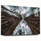 Acrylic glass wall art showcasing a misty landscape design, featuring soft gray and blue colors, elegantly displayed in a side view without pins, perfect for modern decor.
