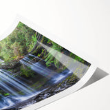 Vibrant rainforest wall art print showcasing lush greenery and tropical flora, rolled and securely packaged in a protective tube, perfect for home decor.