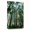 Acrylic glass wall art displaying a vibrant rainforest landscape design, showcasing vivid greens and blues with intricate details, featuring a side view with pins for easy hanging. Perfect for adding a lively touch to home decor.