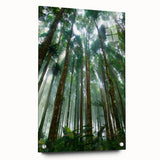 Acrylic glass wall art displaying a vibrant rainforest landscape design, showcasing vivid greens and blues with intricate details, featuring a side view with pins for easy hanging. Perfect for adding a lively touch to home decor.