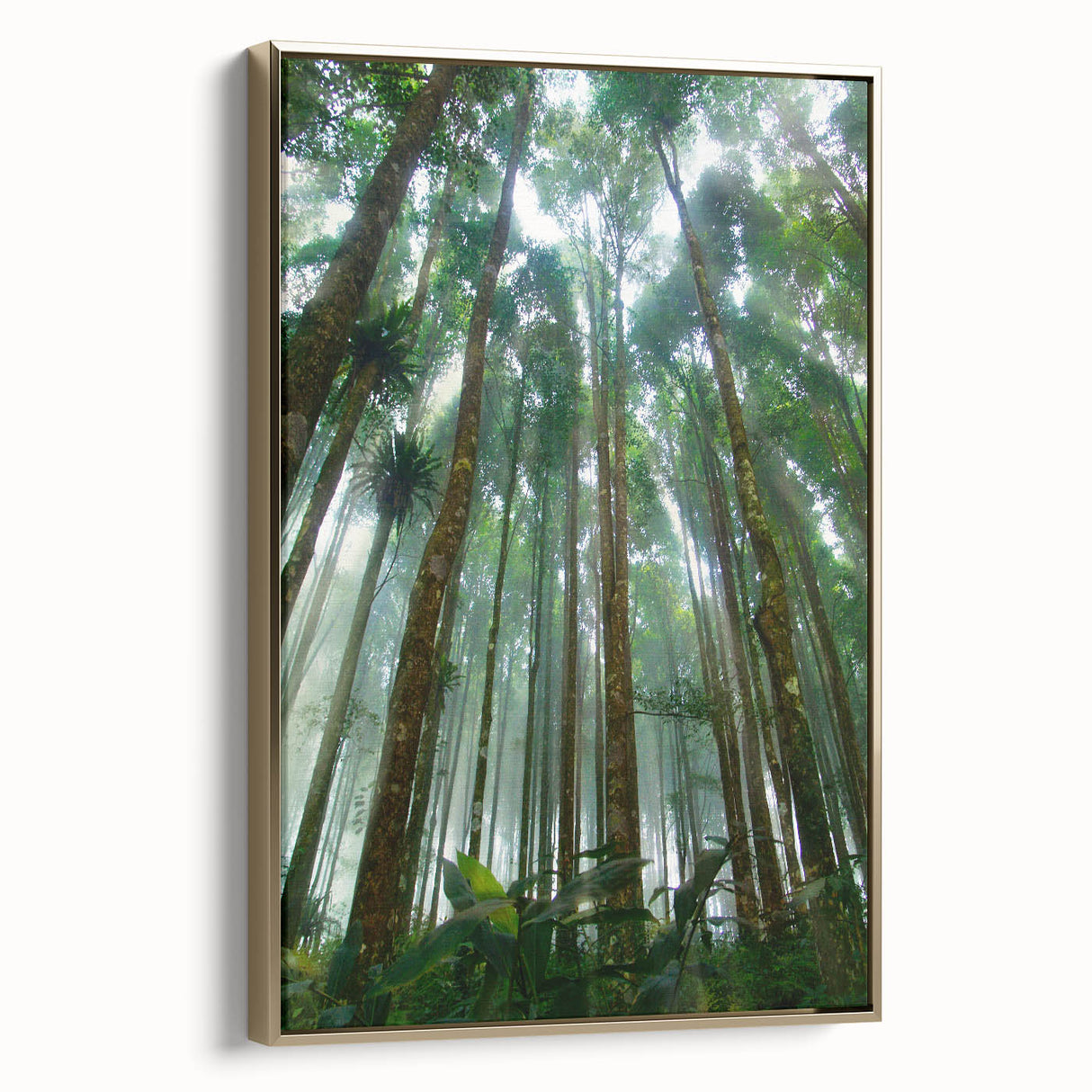 Framed rainforest wall art collection showcasing vibrant greenery and wildlife, accented with a gold frame, adding elegance to any room decor.