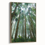 Framed rainforest wall art collection showcasing vibrant greenery and wildlife, accented with a gold frame, adding elegance to any room decor.