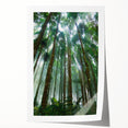 Vibrant rainforest landscape wall art print showcasing lush greenery and tropical flora, rolled for easy transport, perfect for nature-themed home decor.