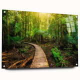 Acrylic glass wall art showcasing vibrant rainforest landscape design, framed with pins for secure display, ideal for nature-inspired decor.