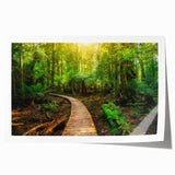 Vibrant rainforest landscape art print showcasing lush greenery and tropical flora, rolled for easy transport and display, perfect for home decor.