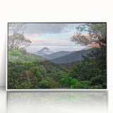 Framed acrylic wall art depicting a vibrant rainforest landscape, showcasing lush greenery and intricate details, perfect for enhancing living spaces with nature's beauty.