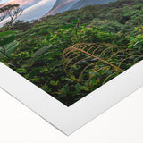 Vibrant rolled canvas depicting a lush rainforest landscape with rich greens and textured details, ideal for enhancing home decor and artwork collections.