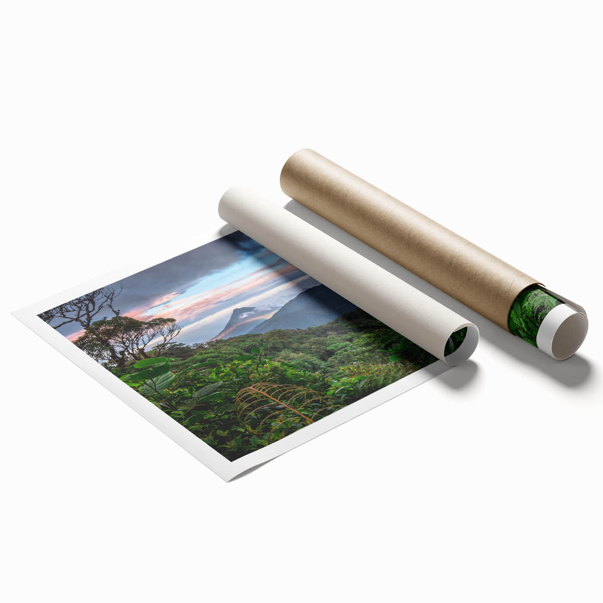 Vibrant rainforest landscape wall art print showcasing lush green foliage and tropical flora, rolled and ready for display in a stylish decor setting.