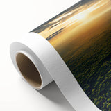 Vibrant rainforest landscape wall art on rolled canvas, showcasing lush greenery and vivid colors, perfect for adding a tropical touch to home decor.