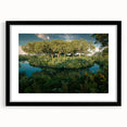 Framed rainforest landscape wall art collection showcasing vibrant greenery and serene nature tones, presented in a sleek black frame with a mat. Ideal for enhancing interior decor.