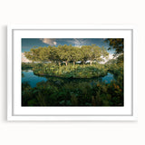 Framed rainforest landscape wall art collection featuring vibrant greens and earthy tones, set in a sleek white frame with a mat, perfect for home decor.
