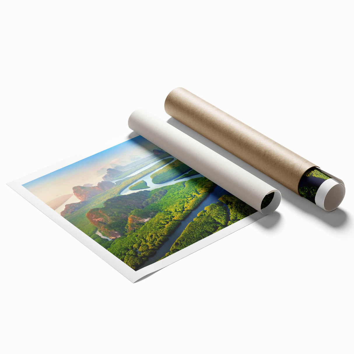 Vibrant rolled print of a lush rainforest landscape, showcasing rich greens and detailed foliage, perfect for enhancing home decor and bringing nature indoors.
