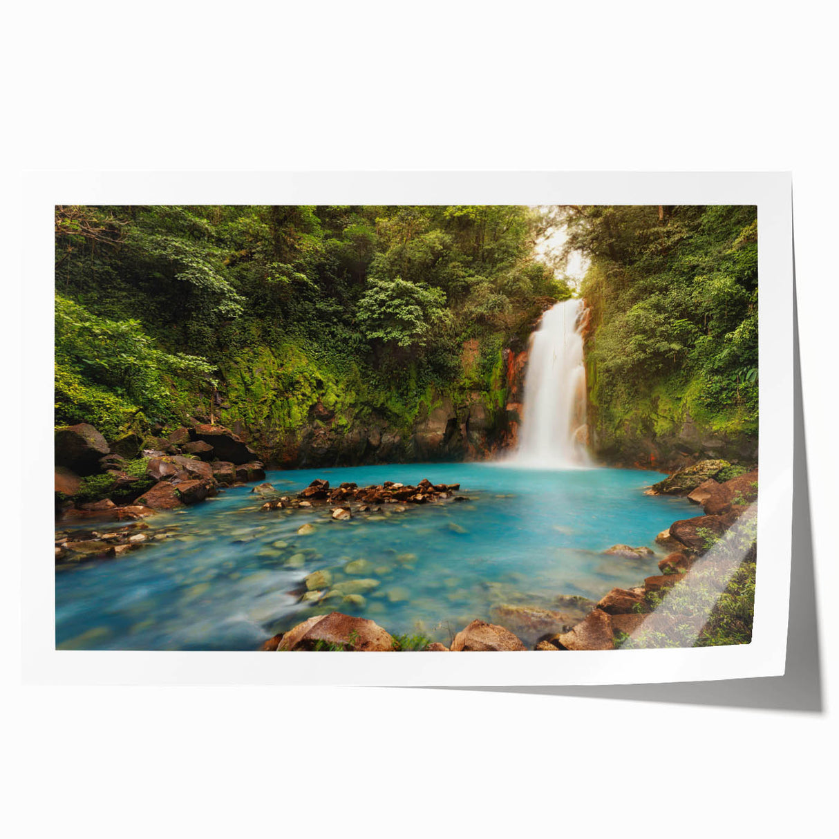 Vibrant rolled print of a lush rainforest landscape featuring rich green foliage and delicate tropical flowers, ideal for enhancing home decor with nature-inspired art.