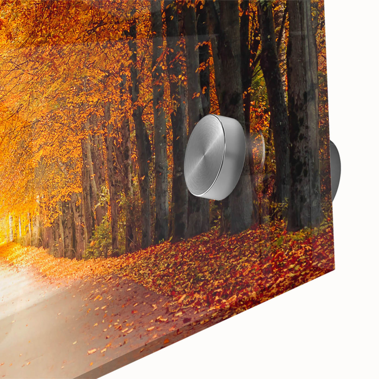 Close-up of a vibrant acrylic glass wall art piece showcasing a scenic road landscape, featuring rich colors and intricate details, ideal for modern home decor.