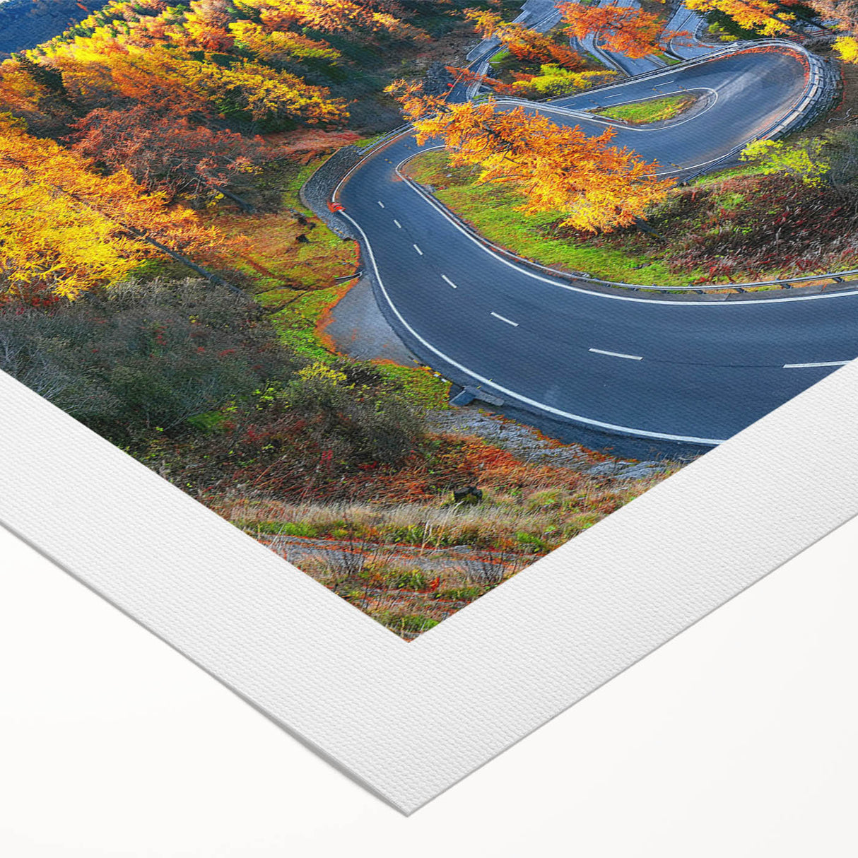 Rolled canvas wall art showcasing a serene landscape road design with vibrant colors and intricate details, perfect for home decor and artistic ambiance.