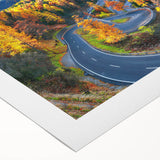 Rolled canvas wall art showcasing a serene landscape road design with vibrant colors and intricate details, perfect for home decor and artistic ambiance.