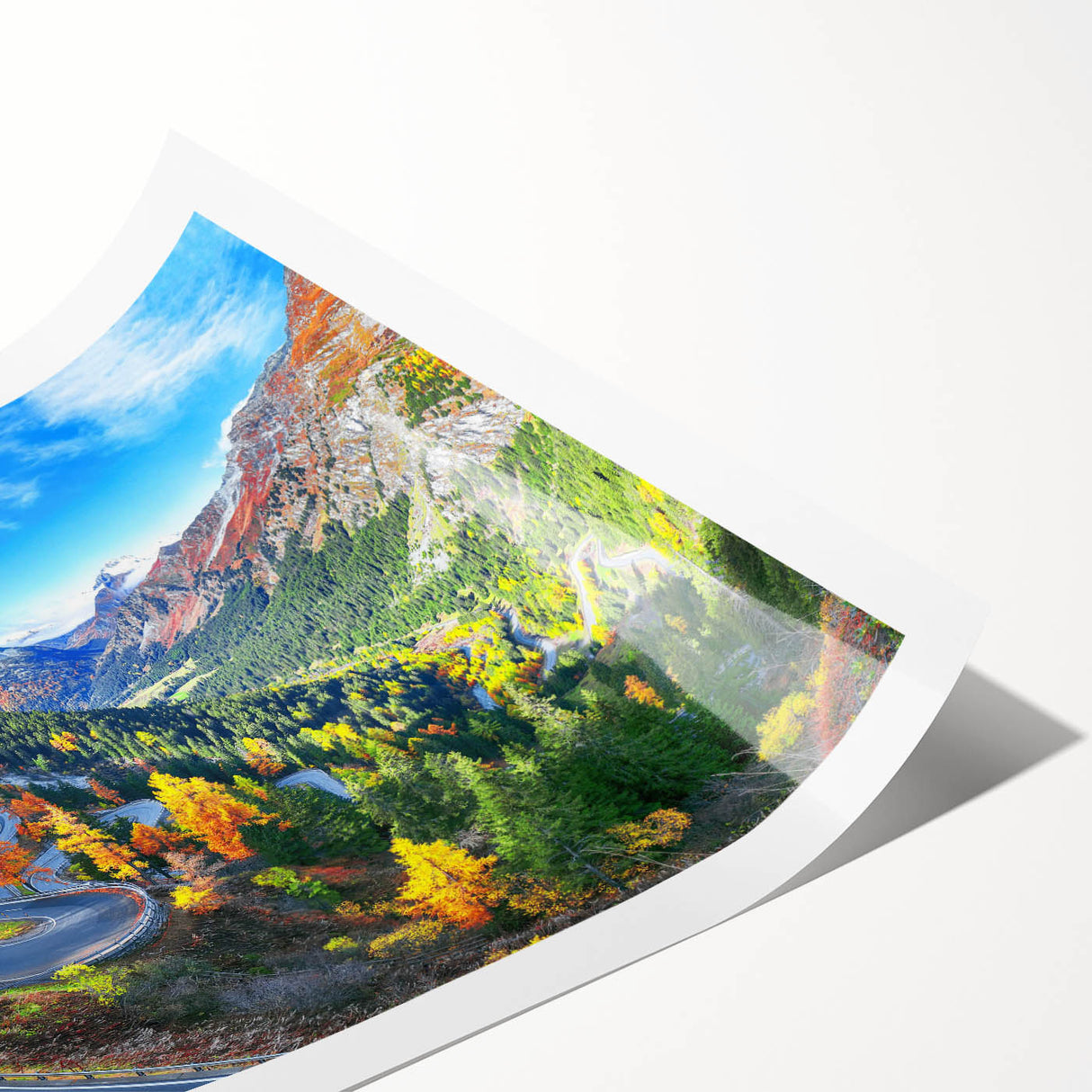 Rolled print showcasing a vibrant landscape road design, featuring rich colors and intricate details, rolled for easy transport and display in home decor.