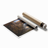 Vibrant rolled print of abstract landscape rocks, showcasing rich textures and earthy tones, designed for modern wall art decor in homes or offices.