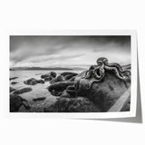 Vibrant rolled print of a seascape design showcasing a serene beach sunset, featuring soft pastel colors and gentle waves, perfect for home decor.
