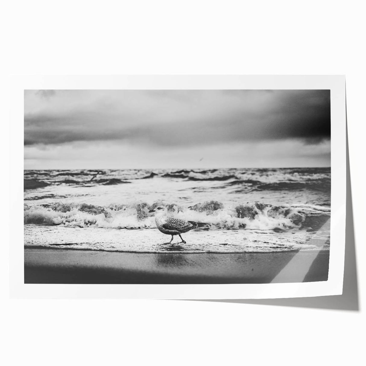 Vibrant coastal landscape wall art print showcasing a serene seascape with shades of blue and green, rolled and ready for display in a protective tube. Perfect for enhancing home decor with a touch of tranquility and nature-inspired beauty.
