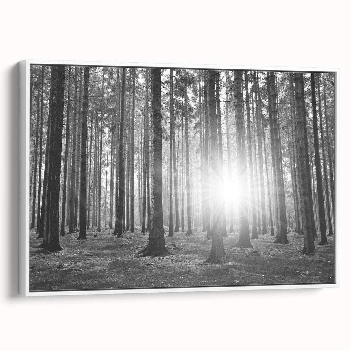 Framed canvas wall art showcasing a serene landscape with vibrant green trees against a white backdrop, ideal for enhancing modern home decor.