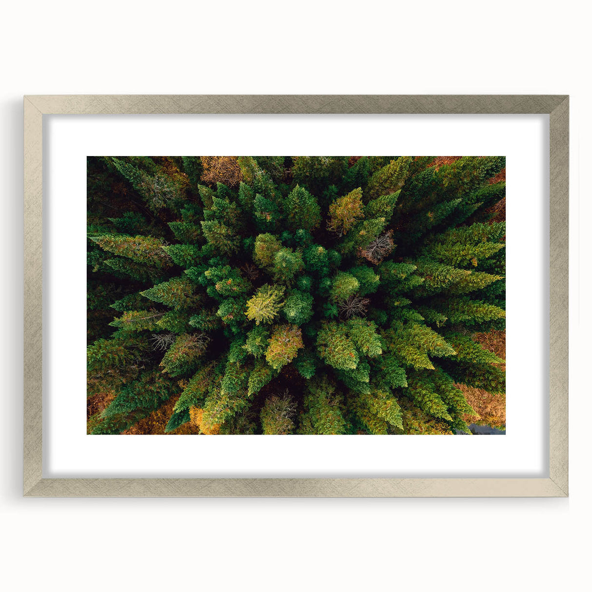Framed wall art featuring a serene landscape design with trees, highlighted by a silver mat and frame, perfect for home décor enhancement.