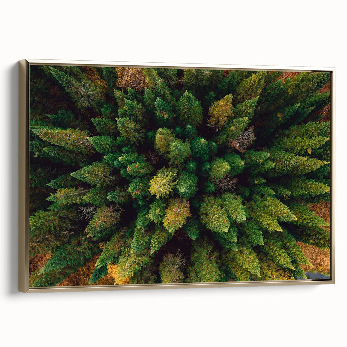 Framed canvas wall art showcasing a modern landscape design with trees, featuring a gold frame and side view, perfect for adding elegance to home decor.