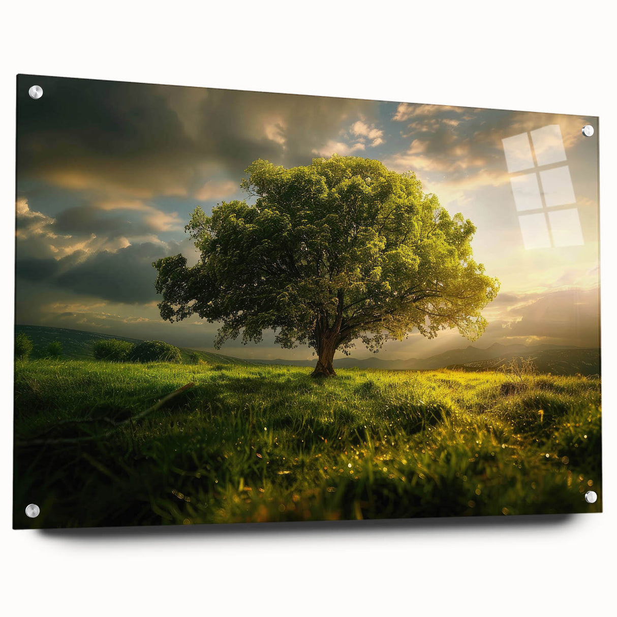 Acrylic glass wall art showcasing a modern landscape design with trees, displayed in a side view with decorative pins, perfect for contemporary home decor.