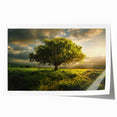 Rolled print of a serene landscape featuring tall, leafy trees against a soft sunset backdrop, ideal for home decor and nature-themed art collections.