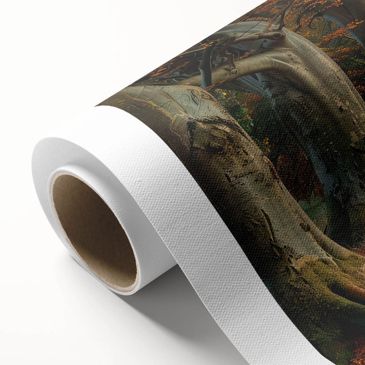 Vibrant rolled canvas wall art showcasing a stunning landscape with lush trees and a serene natural setting, perfect for home decor enhancement.