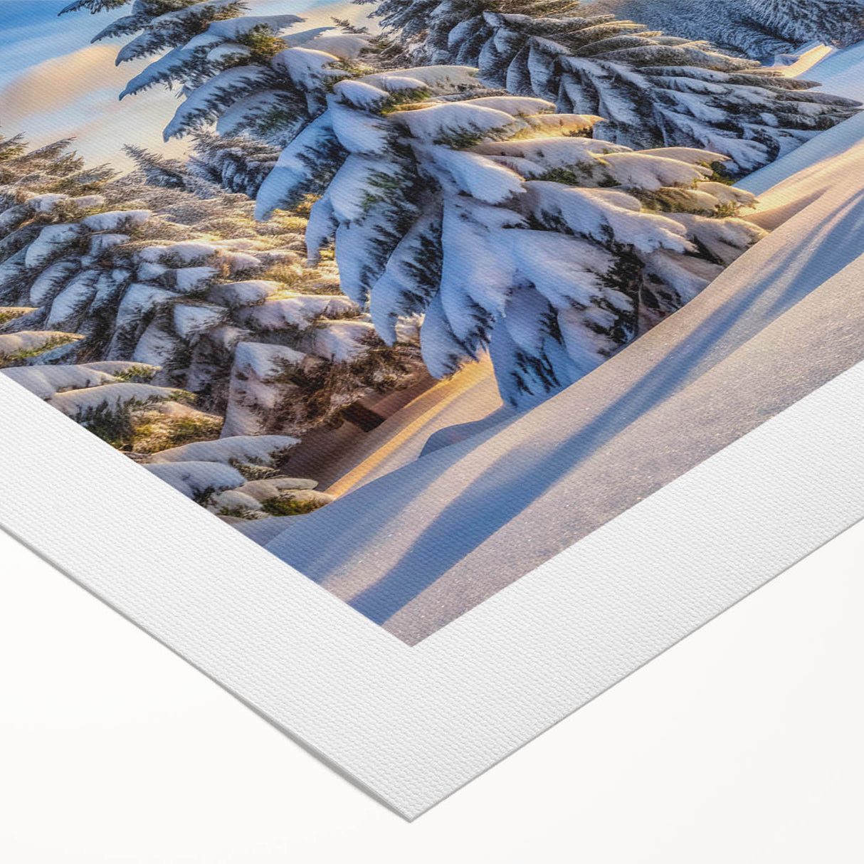 Rolled canvas wall art showcasing a vibrant landscape with lush green trees, featuring intricate details and a textured surface, perfect for home decor.