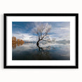 Framed wall art showcasing a serene landscape with trees in a contemporary black frame, featuring a white mat for an elegant presentation, perfect for home decor.