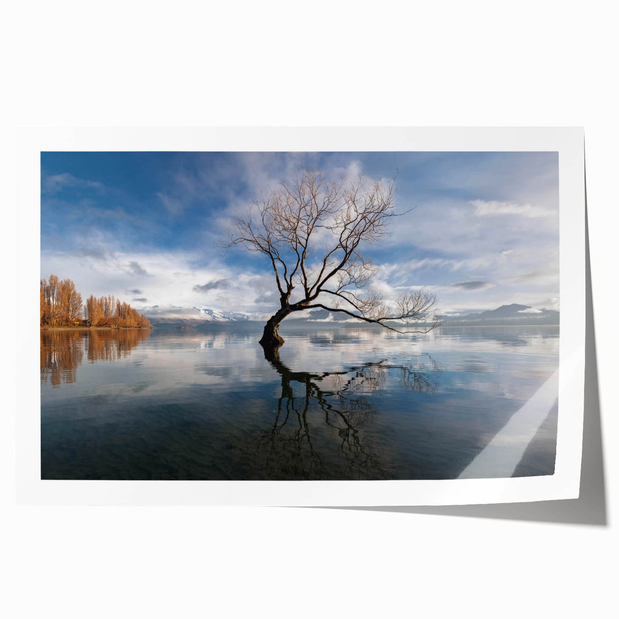 Vibrant rolled print of a serene landscape with lush green trees and a tranquil blue sky, ideal for home decor, showcasing nature's beauty in a stylish design.