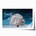 Landscape wall art print showcasing a serene forest scene with vibrant green trees and soft sunlight filtering through the leaves, rolled for easy shipping and display.