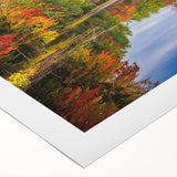Abstract wall art featuring a vibrant landscape design with trees, printed on rolled canvas, showcasing rich colors and intricate details, perfect for home decor.