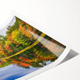 Vibrant rolled print of a scenic landscape featuring lush green trees, perfect for home decor. The artwork showcases detailed foliage and serene natural beauty, ideal for nature lovers.