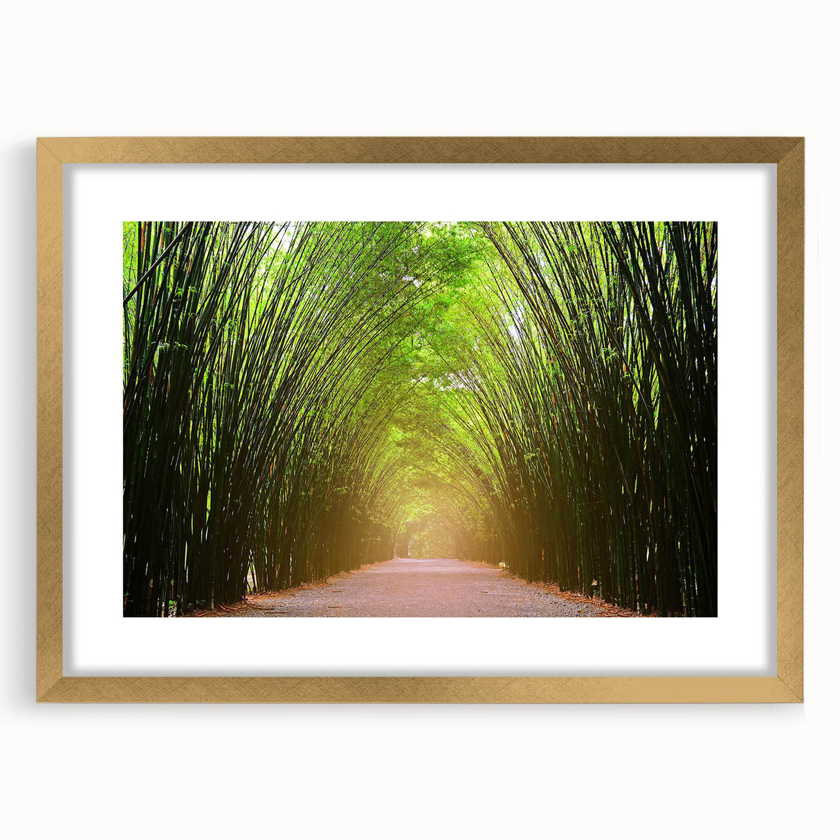 Framed landscape wall art featuring a collection of tree designs in muted colors, elegantly matting with a gold frame, perfect for home decor enhancement.