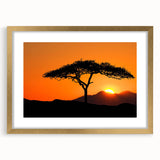 Framed wall art collection featuring a scenic landscape of trees, set in an elegant gold frame with a mat, ideal for enhancing home decor.