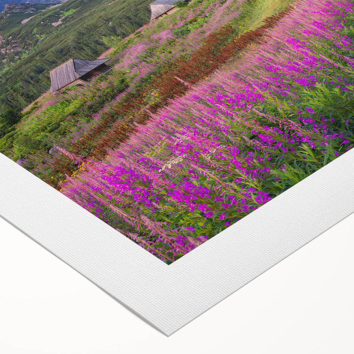 Rolled canvas artwork showcasing a vibrant valley landscape design in rich colors, ideal for home decor, and securely packaged for safe delivery.