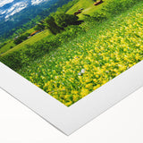 Vibrant rolled canvas wall art featuring a serene valley landscape design, showcasing lush greenery and soft pastel skies, ideal for home décor enhancement.