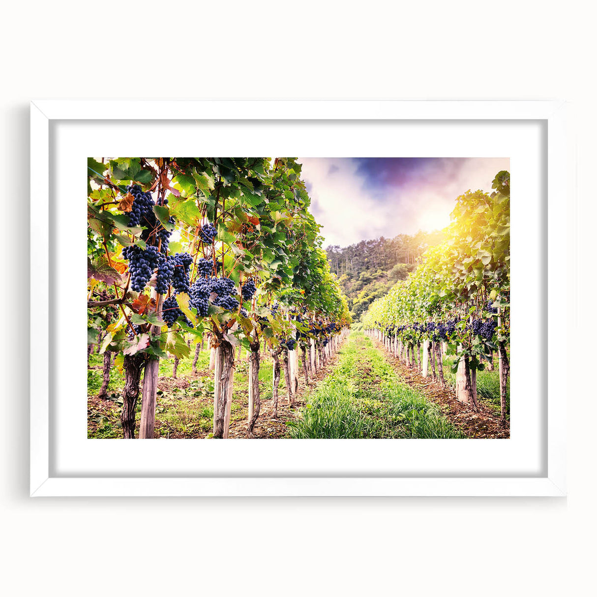 Framed wall art collection featuring a picturesque vineyard landscape design, presented with a white mat and sleek frame, perfect for enhancing home decor.