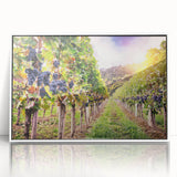 Framed acrylic wall art showcasing a vibrant vineyard landscape with lush green vines and rolling hills, presented in a sleek white frame, ideal for home decor.