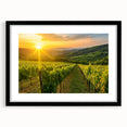 Framed wall art collection showcasing a picturesque vineyard landscape design in a sleek black frame with a mat; perfect for enhancing home decor aesthetics.