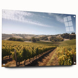 Acrylic glass wall art collection showcasing a vibrant vineyard landscape, displayed in a side view with pins for mounting, perfect for enhancing home decor.