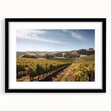 Framed landscape vineyard wall art design featuring elegant black matting, showcasing vibrant colors and picturesque scenery, perfect for enhancing home decor.
