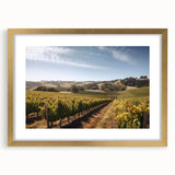 Elegant framed wall art showcasing a picturesque vineyard landscape with lush green vines and rolling hills, accented by a gold mat for a luxurious touch. Perfect for enhancing home decor with a rustic yet refined aesthetic.