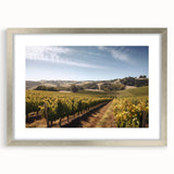 Framed wall art collection showcasing a picturesque vineyard landscape design with a silver mat, perfect for enhancing home decor and adding elegance to any room.